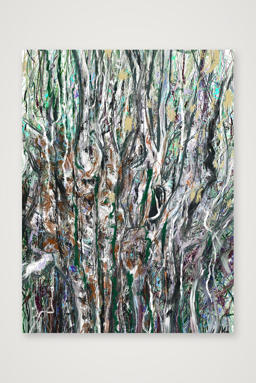 Birch — 30×40cm Print only